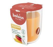 Bolsius aromātiska svece stikla traukā Ø7.3x8cm Mango