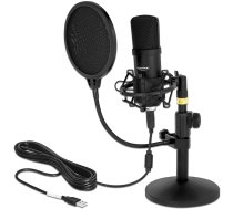 DeLOCK professional USB condenser microphone ( 66300 66300 66300 ) aksesuārs datorkorpusiem