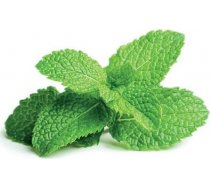 Click Grow Smart Garden refill Peppermint 3-pack ( 4742793007397 M5260800 )