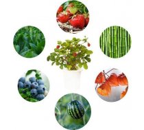 Click Grow Smart Garden refill Experimental 3-pack ( 4742793007267 )