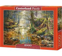 Castorland Puzzle 2000 Memories of the autumn forest ( 5904438200757 200757 352439 5904438200757 ) puzle  puzzle