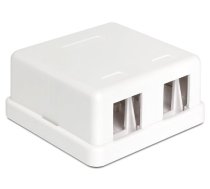 Delock Keystone Module Wall Mount Box 2 Ports (86207) ( 4043619862078 86207 86207 DELOC 86207 )