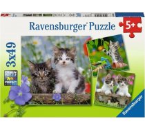 Ravensburger Puzzle 3x49 Kocieta 353857 (4005556080465) ( JOINEDIT20896275 ) puzle  puzzle