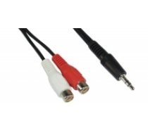 Kabel InLine Audio 2x gniazdo Cinch - wtyk 3.5mm Stereo 5m 89941D ( 89941D Inline_ 89941D ) adapteris