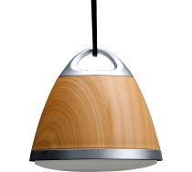 Swisstone BX 700 ( 450112 ) pārnēsājamais skaļrunis