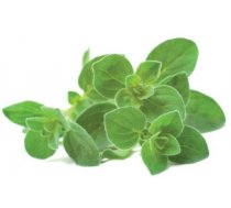 Click Grow Smart Garden refill oregano 3-pack ( 4742793007489 SGR31X3 )