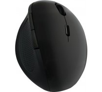 Logilink Mouse ID0139 Wireless  No  Black  Yes  Wireless connection ( ID0139 ID0139 ID0139 ) Datora pele