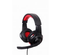 GEMBIRD Headset USB 5.1 Surround ( GHS U 5.1 01 ) austiņas