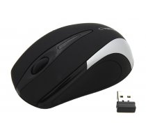 ESPERANZA Wireless Mouse Optical EM101S USBNANO Output 2 4 GHz silver ( EM101S EM101S EM101S EM101S NANO USB ) Datora pele