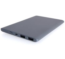 PowerNeed Powerbank (10000mAh) 2x USB grafitowy ( P10000S P10000S P10000S ) Powerbank  mobilā uzlādes iekārta