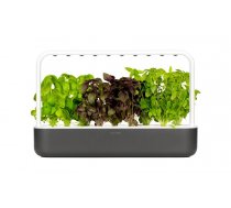 Click Grow Smart Garden 9 pelēks ( 4742793008899 )