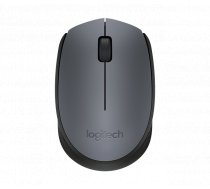 Logitech Wireless Mouse M170 USB ( 910 004642 3698772 5099206062887 910004642 ) Datora pele