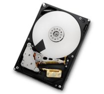 HGST 2TB SATAIII 64MB Refurbished HUA723020ALA641 ( HDS723020BLA642 RFB ) cietais disks