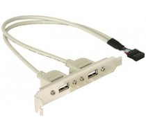 Delock Slot Bracket USB 2.0 x2 ( 71000 71000 71000 ) kabelis datoram