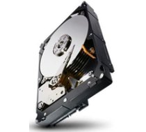 Seagate 1TB 64MB 7200RPM 24x7 Refurbished ST1000NM0011 ( ST1000NM0011 RFB ) cietais disks