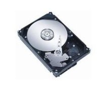 MicroStorage 250GB 3 5 SATA II 7200RPM Refurbished Parts AHDD012  ST3300820SCE  WD2500YS  JX718  ST3250310CS  449980-001  WD2500AAJS  ST3250 ( AHDD012 AHDD012 AHDD012 ) cietais disks