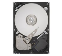 Seagate 750GB 7.2K RPM SATA Refurbished ST3750640NS ( ST3750640NS RFB ST3750640NS RFB ST3750640NS RFB ) cietais disks