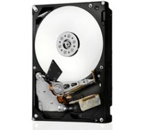 IBM 300Gb FC 4Gbps 15K E-DDM H Refurbished 42D0417 17P8734 ( 42D0410 RFB ) cietais disks