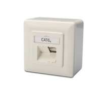 Digitus DN-9007-S-1 CAT 6A Class EA net outl. Shi. 2x RJ45. LSA. pure white. ( DN 9007 S 1 ) tīkla kabelis