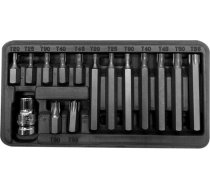 Pro-Line Zestaw bitow 3/8apos;apos; Torx T20-T55 15 elementow (10745) 10745 (5903755107459) ( JOINEDIT26064245 )