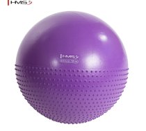 HMS YB03 Fitnesa nodarbību  Rahabilitācijas masāžas bumba 55CM diametrs ar pumpi Violeta ( 17 42 130 17 42 130 17 42 130 ) Sporta aksesuāri