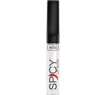 Wibo WIBO_Spicy Lip Gloss blyszczyk do ust 10 3ml 5907439131778 (5907439131778) ( JOINEDIT22148562 ) Lūpu krāsas  zīmulis