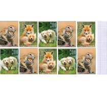 Herlitz Zeszyt A5/16K  kratka  Animals (10szt) 417039 (5901389585834) ( JOINEDIT26031297 )