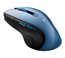 CANYON 2.4Ghz wireless blue LED 6 buttons DPI 1000/1200/1600 Blue Gray pearl glossy ( CNS CMSW01BL 13342250 ) Datora pele