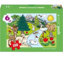 Jednosc Puzzle 100 - Stworzenie swiata 454791 (5907622694646) ( JOINEDIT26568082 ) puzle  puzzle