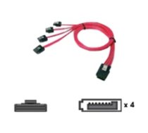 Chenbro Micom Chenbro Mini SAS 36pin-to-SATA SAS - Serial ATA  0.6 m  SATA  5711045139826 ( 26H113215 010 26H113215 010 26H113215 010 ) aksesuārs datorkorpusiem