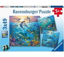 Ravensburger Puzzle 3x49 Podwodne zycie 405554 (4005556051496) ( JOINEDIT24497689 ) puzle puzzle