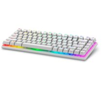 Dell 545-BBFR Alienware Pro Gaming Keyboard Wireless US Bluetooth Lunar Light Alienware Linear Mechanical ( 545 BBFR ) klaviatūra