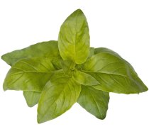 Click  Grow Smart Garden refill Lime Basil 3pcs 4742793004006 ( 4742793004006 SGR100X3 ) Virtuves piederumi