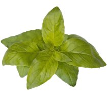 Click Grow Smart Garden refill Lime Basil 3-pack ( 4742793004006 SGR100X3 )