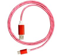 Platinet cable USB - USB-C LED 2A 1m  red (45741) 5907595457415 ( 45741 45741 ) kabelis  vads