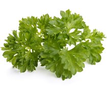 Click Grow Smart Garden refill Parsley 3pcs 4742793007359 SGR13X3 (4742793009452) ( JOINEDIT42889875 )
