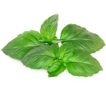 Click Grow Smart Garden refill Marseille Basil 3-pack ( 4742793003986 SGR99X3 )