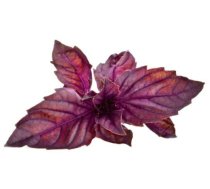 Click Grow Smart Garden refill Red Basil 3pcs 4742793007427 SGR25X3 (4742793007427) ( JOINEDIT42889882 )