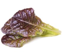 Click  Grow Smart Garden refill Red Lettuce 3pcs 4742793002415 SGR84X3 (4742793002415) ( JOINEDIT42889940 ) Vannas istabas piederumi