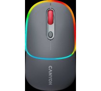 CANYON mouse MW-22 2in1 BT/ Wireless Dark Grey ( CNS CMSW22DG 13128100 ) Datora pele