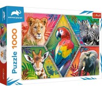 Trefl Puzzle 1000 elementow Egzotyczne zwierzeta Animal Planet GXP-781375 (5900511106718) ( JOINEDIT27947423 ) puzle  puzzle