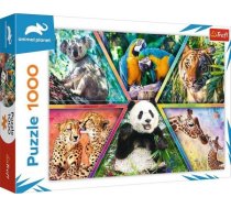 Trefl Puzzle 1000 elementow Krolestwo zwierzat Animal Planet GXP-781376 (5900511106725) ( JOINEDIT26204855 ) puzle  puzzle