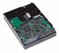 HP H80 GB SATA-3G  Refurbished 5711045943850 ( 391945 001 RFB 391945 001 RFB 391945 001 RFB ) cietais disks