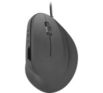 SPEEDLINK PIAVO mouse Right-hand USB Optical 2400 DPI 4027301839395 ( SL 610019 RRBK SL 610019 RRBK ) Datora pele