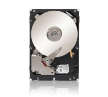 Seagate 3TB 128MB 7200RPM SATA 24/7 (Atjaunots  garantija 6 mēn) ( ST3000NM0033 RFB ST3000NM0033 RFB ) cietais disks