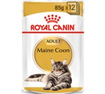 Royal Canin FBN Maine Coon - Cat wet food - sachet 12x 85g ( RC POS musthave VAT004796 )