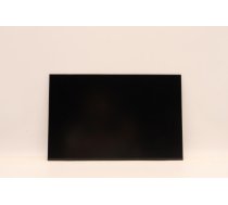 DISPLAY IVO 14.0 WUXGA AG 5D10V82397 (5715063049471) ( JOINEDIT61332135 )