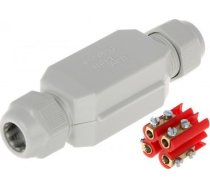 Raytech GELBOX DINO THROUGH-OUT COUPLING IP68 ( 8050040861576 DINO )