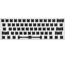 Sharkoon SKILLER SGK50 S4 keyboard USB White 4044951038893 ( 4044951038893 ) klaviatūra
