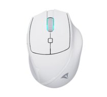 Mysz Sharkoon Sharkoon OfficePal M25W (white) ( 4044951039654 ) Datora pele